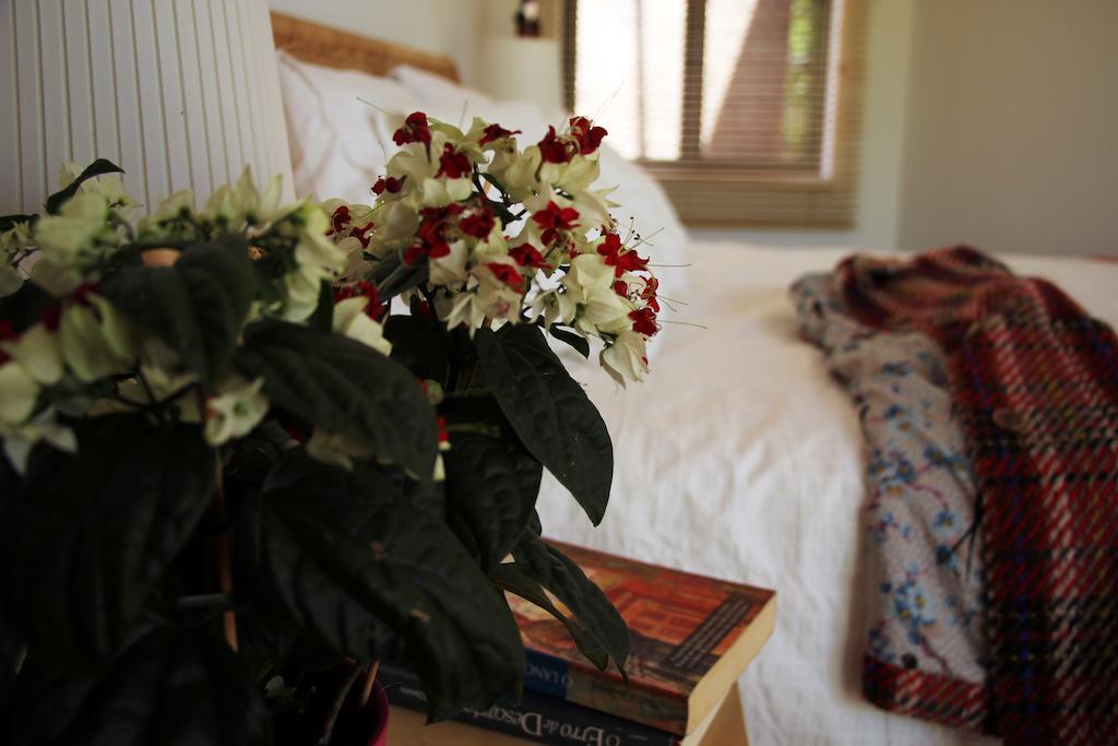 A Casa Da Arvore Bed & Breakfast Вила Нова де Милфонтеш Стая снимка